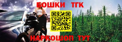 стаф Можга